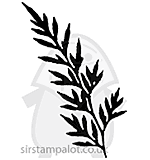 View Rubber Soul Fern