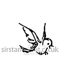 Blue Bird Right