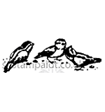 SO: Bird Trio