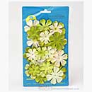 Prima E-Line - Flowers - Green - Style 1