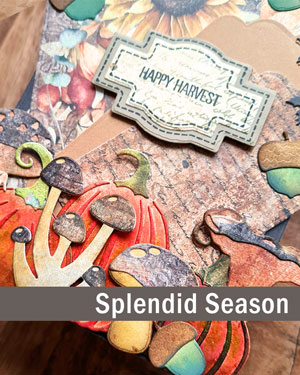 ECD Splendid Season