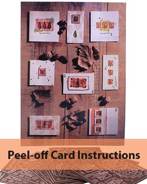 Instruction Sheet for Copper Peeloffs